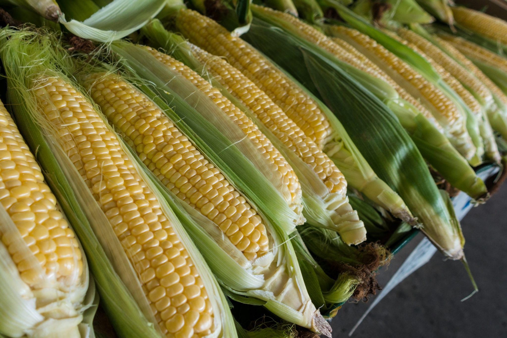 Get Free Real-Time Corn Rates With This API  