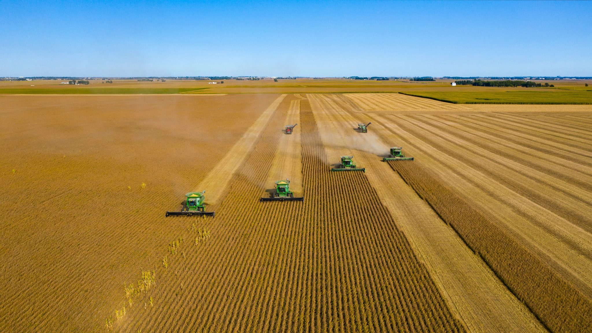 How To Get Soybeans Real-Time Rates API  