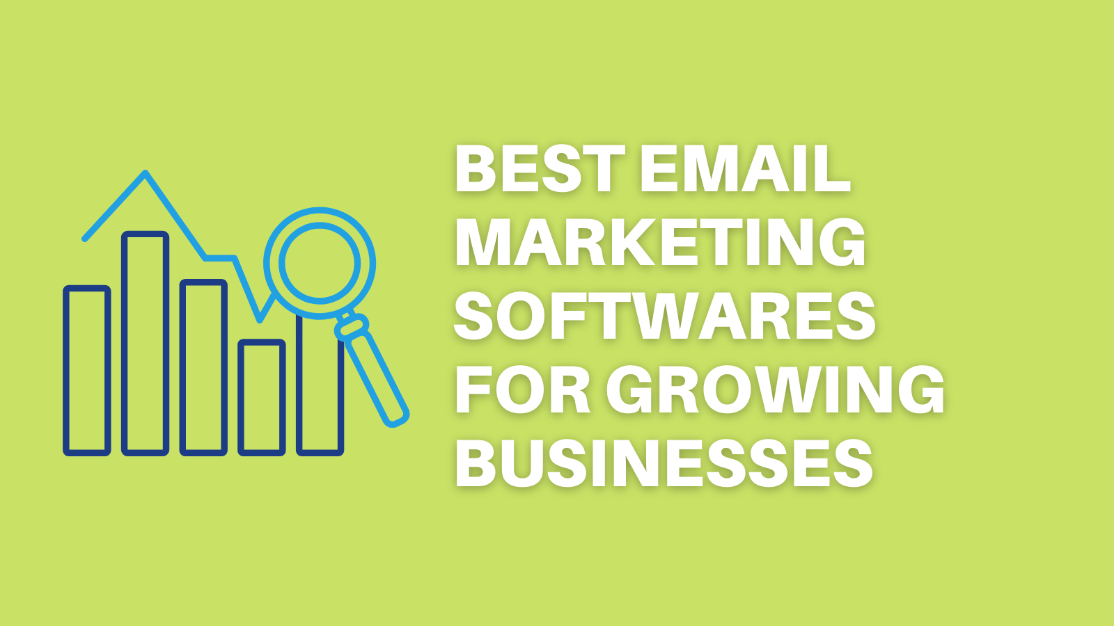 Best Email Marketing Softwares For Growing Businesses  