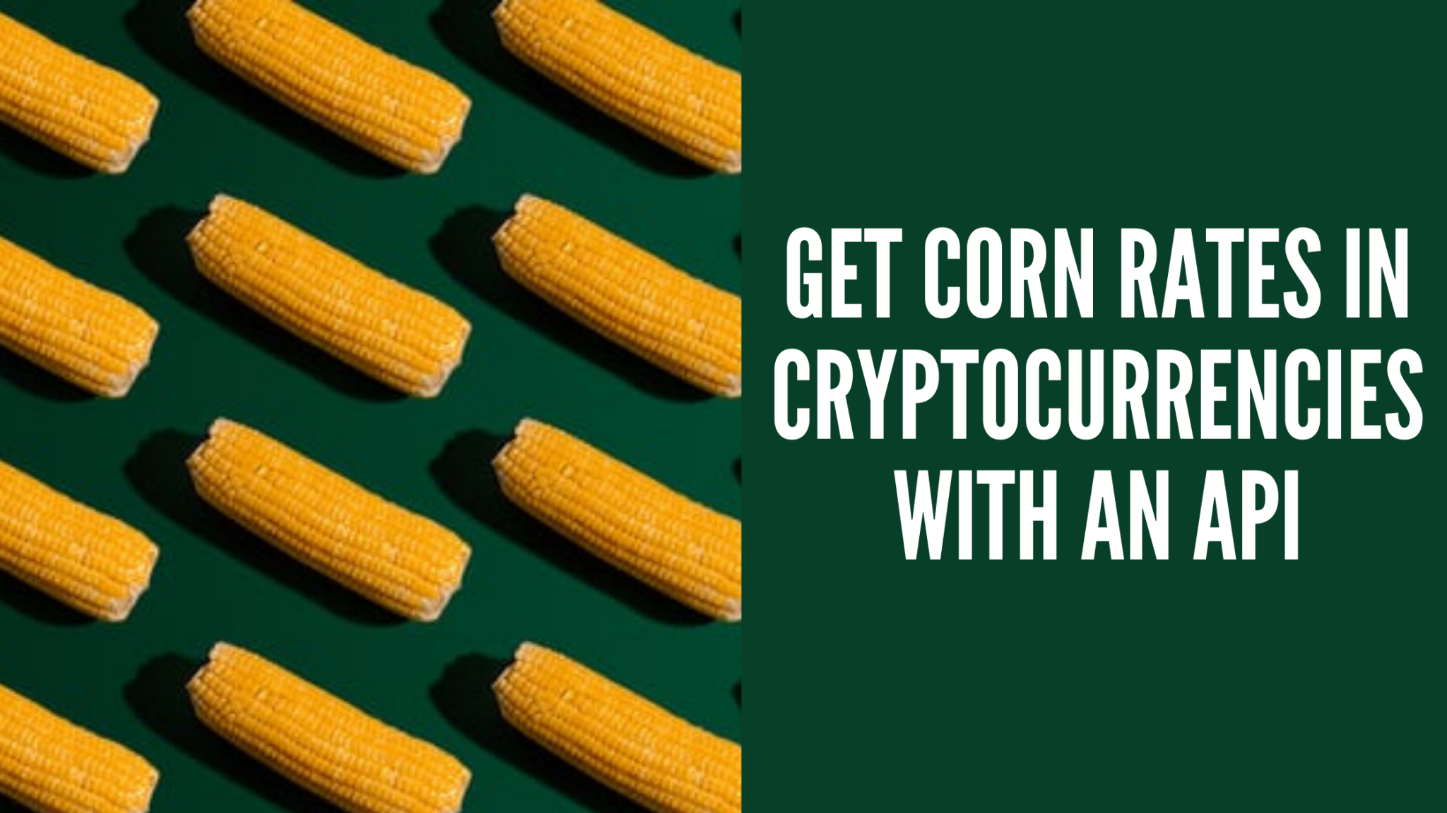 How To Get Corn Rates In Cryptocurrencies with an API  