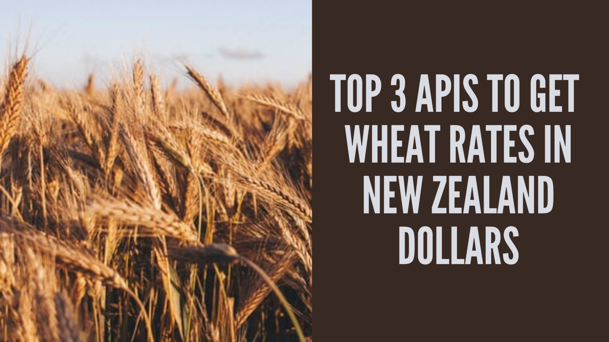 Top 3 APIs To Get  Wheat Rates In New Zealand Dollars  