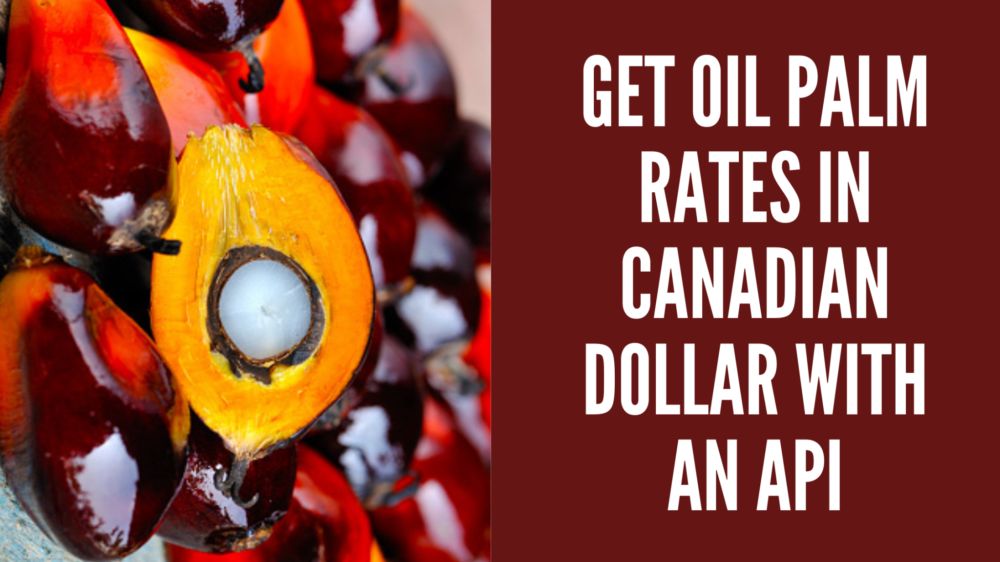 How To Get Palm Oil Rates In Canadian Dollar  