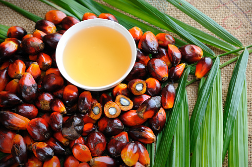 How To Get Palm Oil Rates In Canadian Dollar  