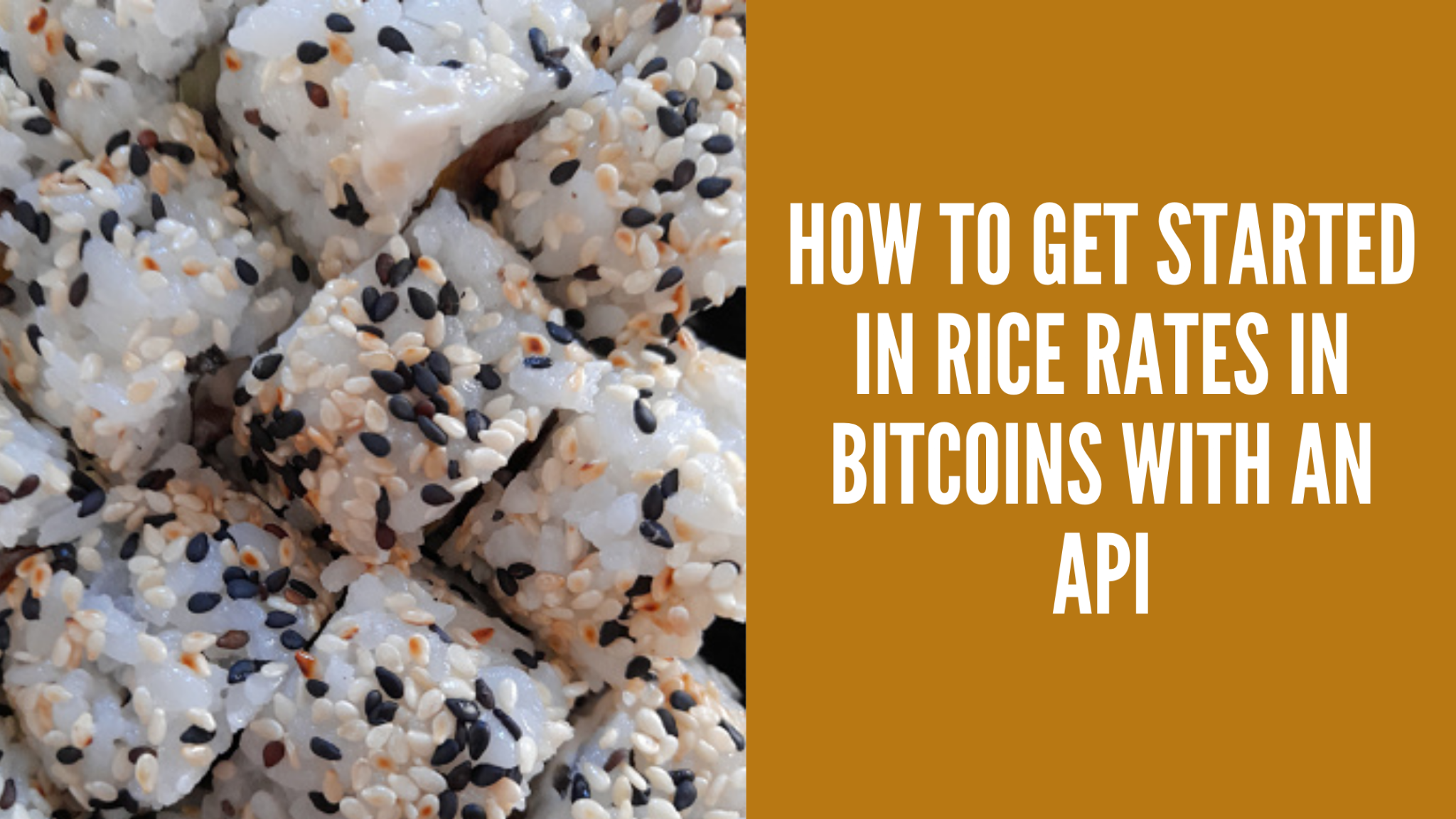 How To Get Started In Rice Rates in Bitcoins With An API  