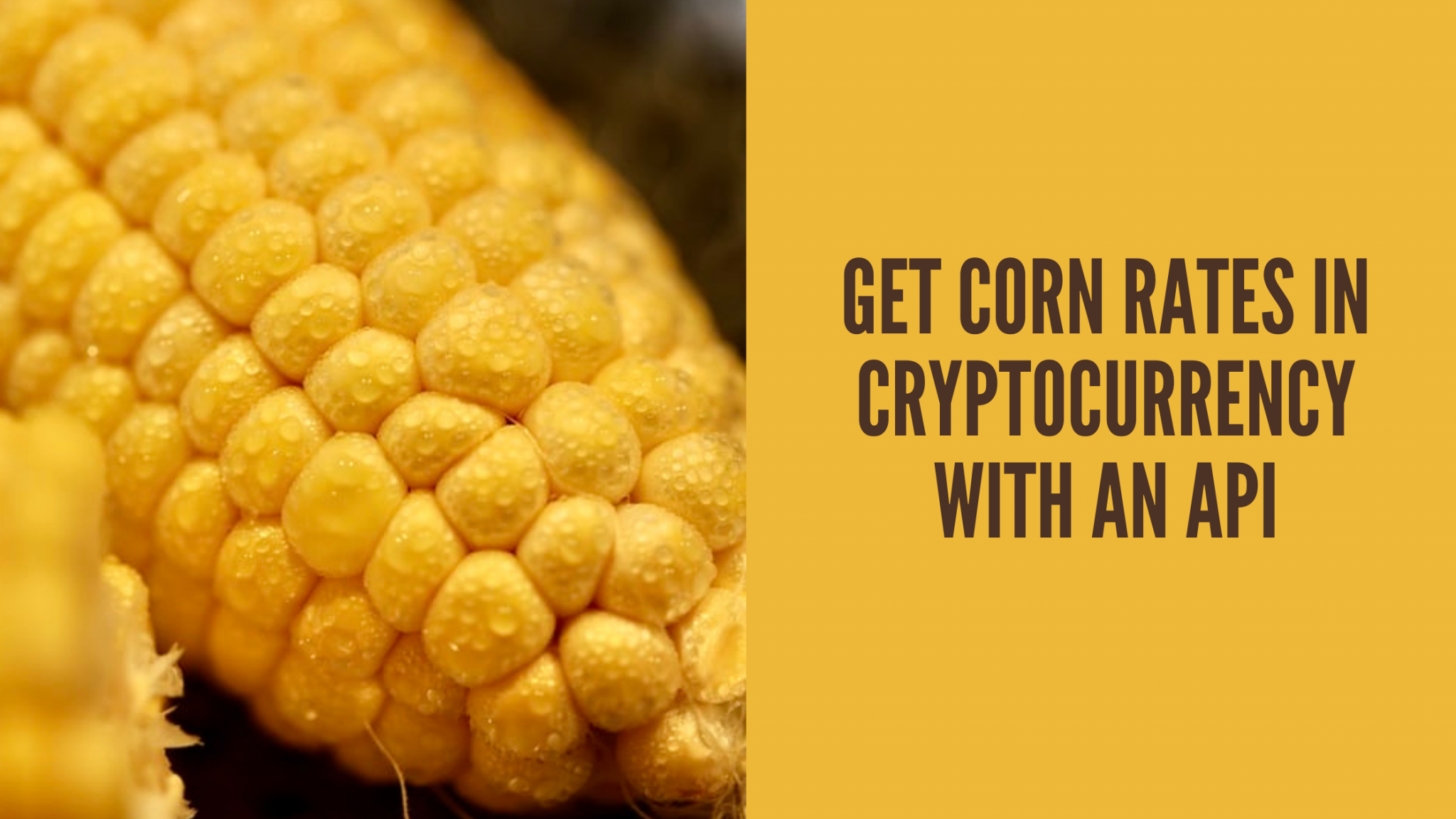 What Is The Best Way To Get Corn Rates In Cryptocurrency With An API  