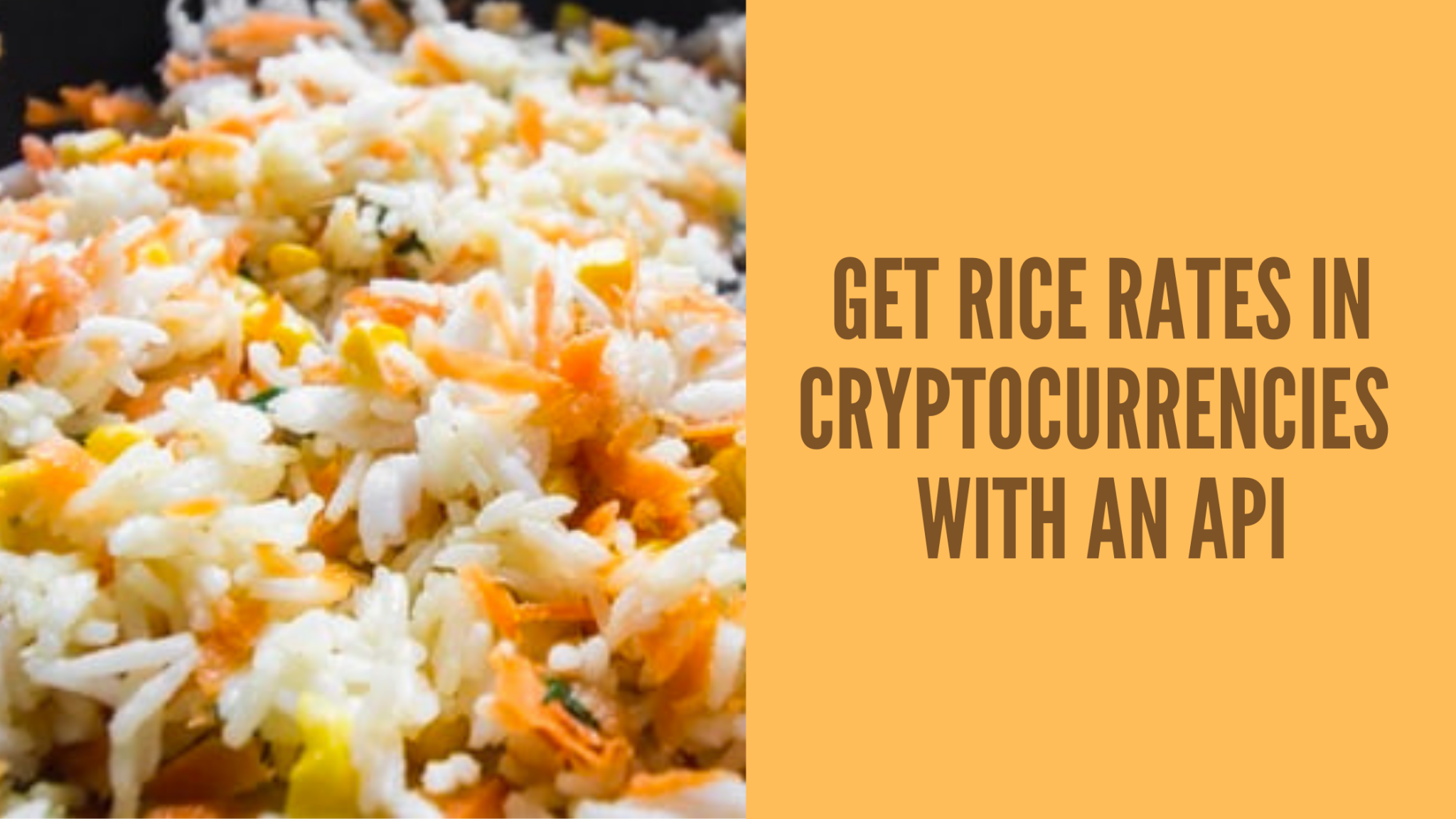 Learn To Get Rice Rates In Cryptocurrencies With An API  