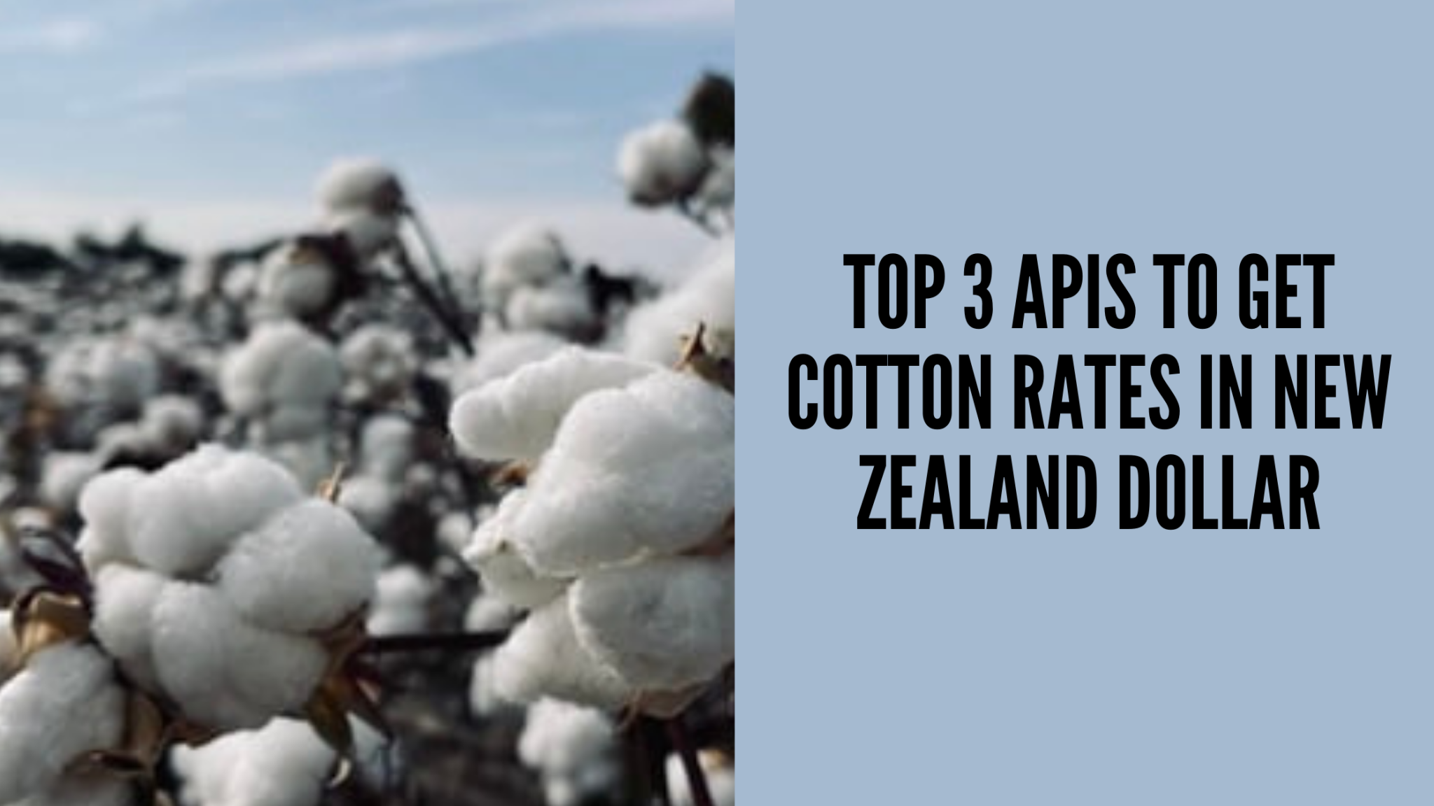 Top 3 APIs To Get Cotton Rates In New Zealand Dollars  