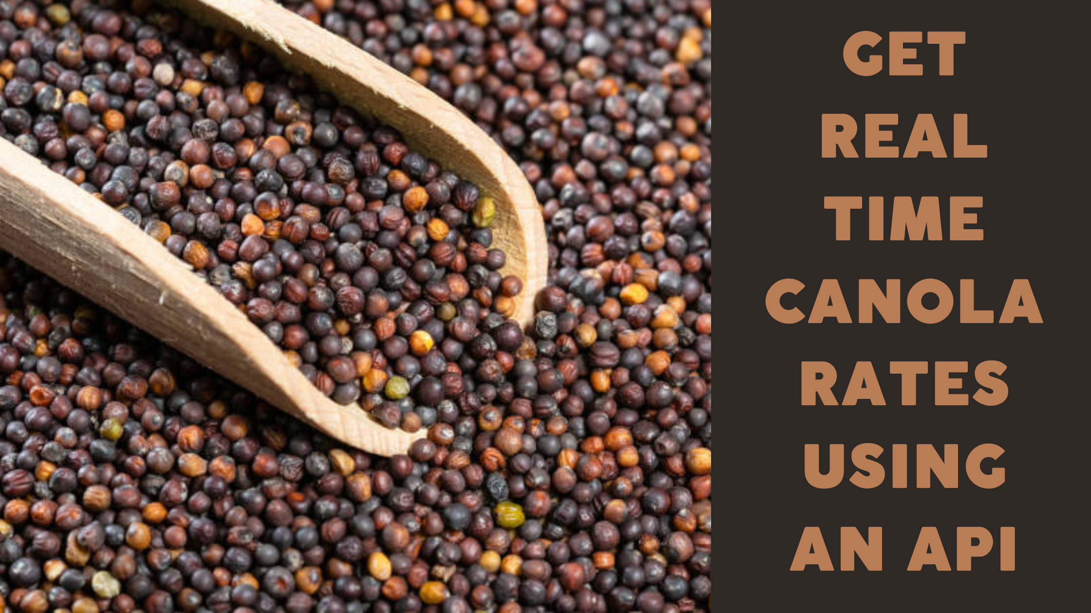 Get Real-Time Canola Rates Using An API  