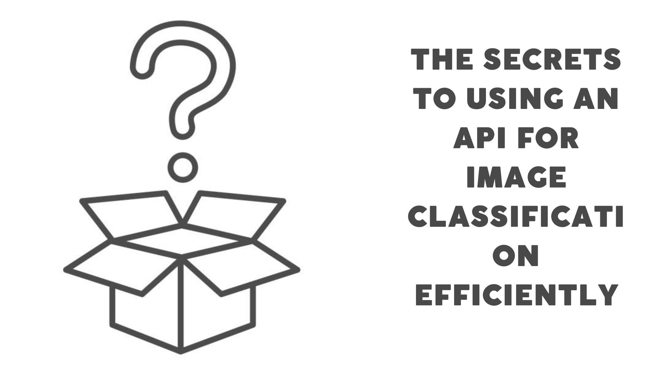 the-secrets-to-using-an-api-for-image-classification-efficiently