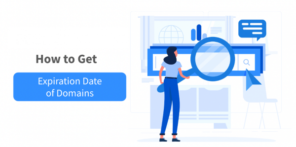 How To Use A Domain Expiration Data API?  